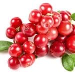 Cranberries Promote Nitric Oxide