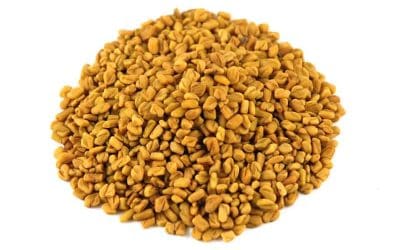 Fenugreek Benefits (Are There Side Effects You Should Know?)