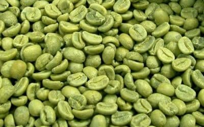 Green Coffee Bean for Weight Loss: Do They Work Without Side Effects?