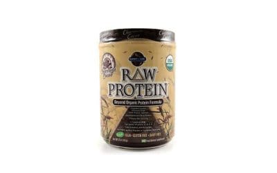 Garden Of Life Raw Protein Review (Is It Worth It?)