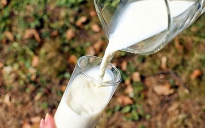 Micellar Casein Protein Benefits