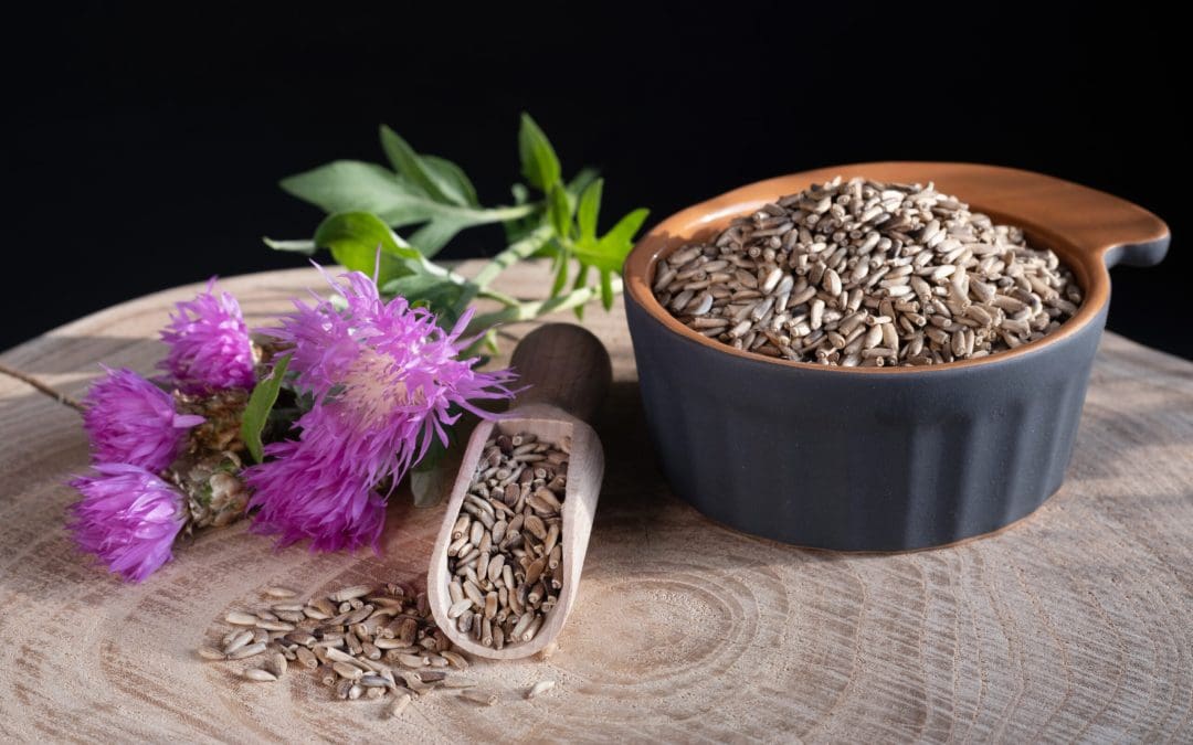 The Health Benefits of Milk Thistle